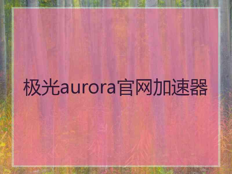 极光aurora官网加速器