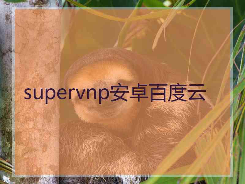 supervnp安卓百度云