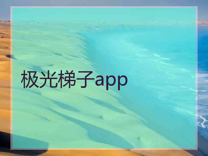 极光梯子app