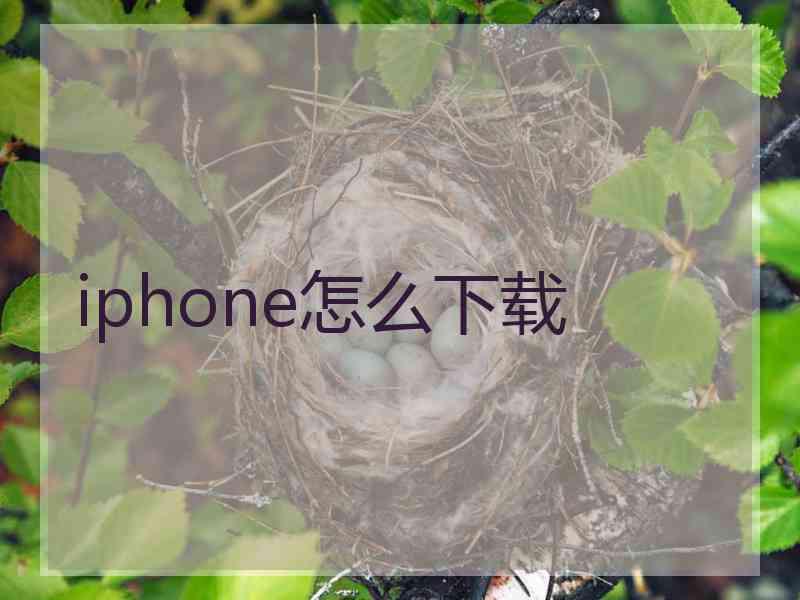 iphone怎么下载