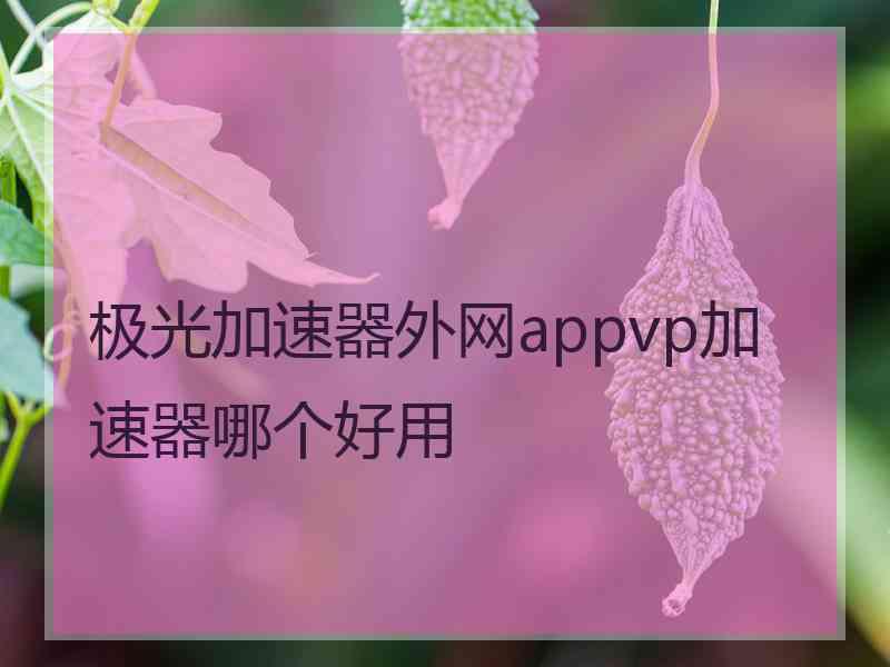 极光加速器外网appvp加速器哪个好用