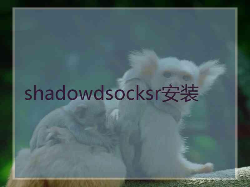 shadowdsocksr安装