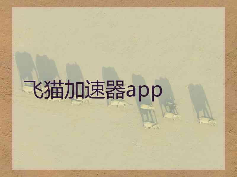 飞猫加速器app