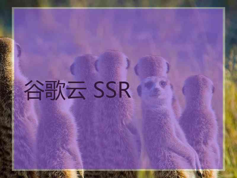 谷歌云 SSR