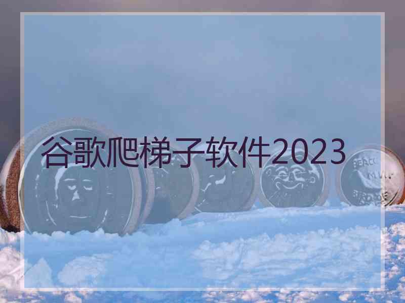 谷歌爬梯子软件2023