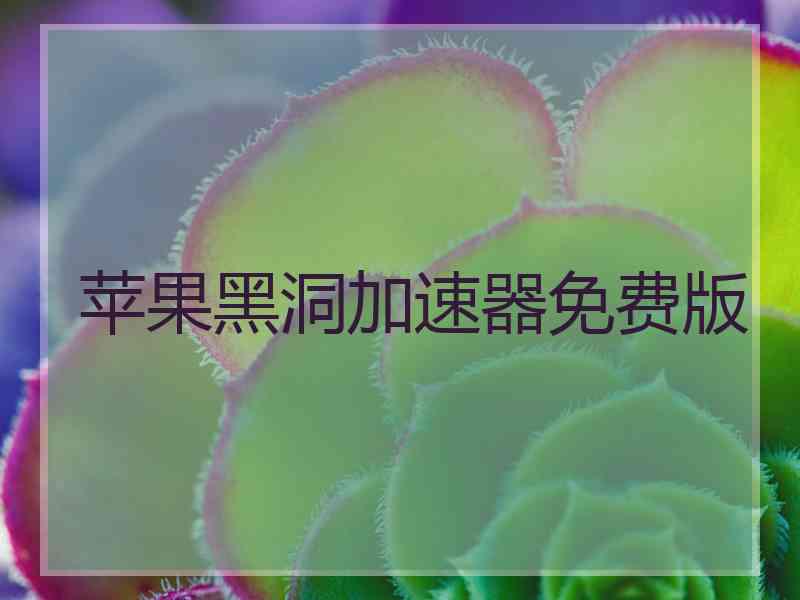 苹果黑洞加速器免费版