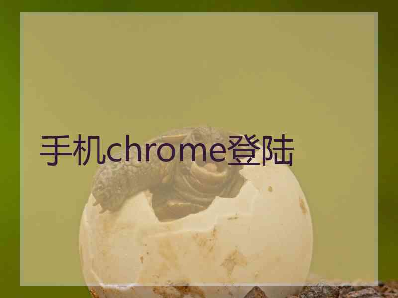 手机chrome登陆