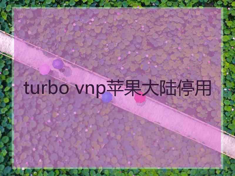 turbo vnp苹果大陆停用