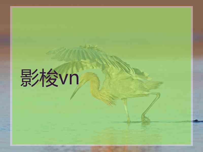 影梭vn