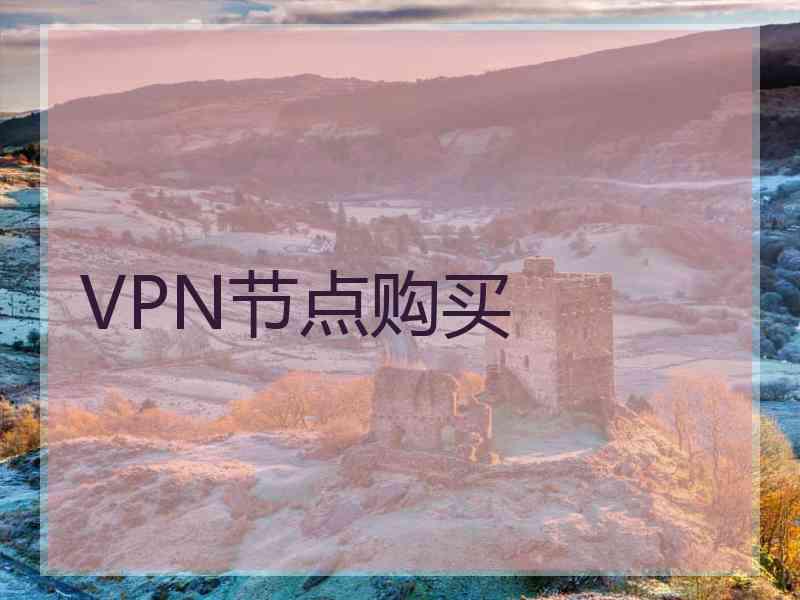 VPN节点购买