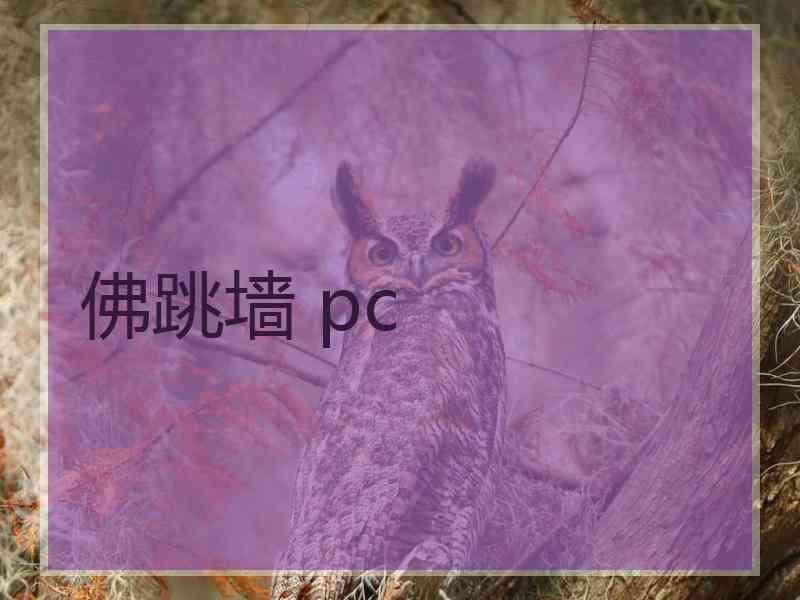 佛跳墙 pc