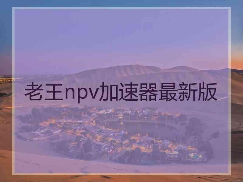 老王npv加速器最新版