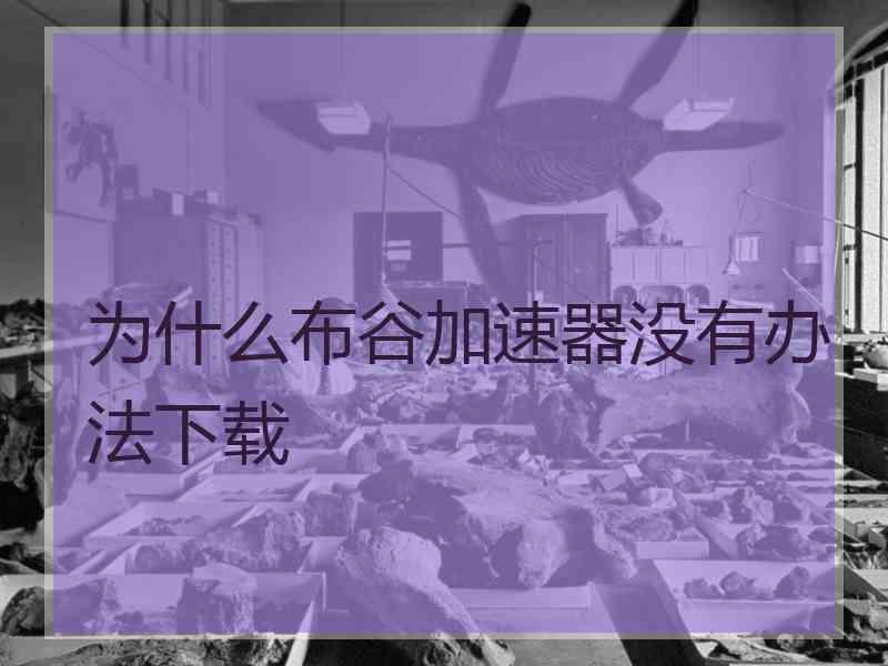 为什么布谷加速器没有办法下载