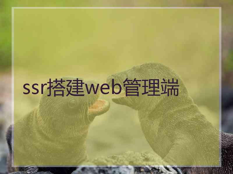 ssr搭建web管理端