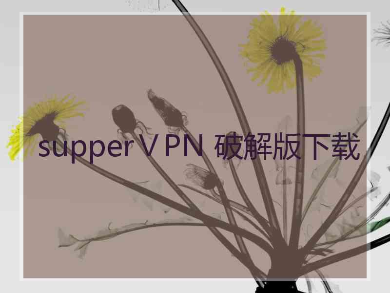 supperⅤPN 破解版下载