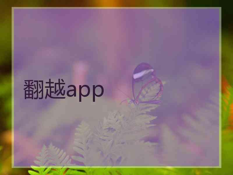 翻越app