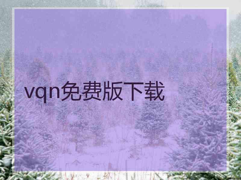 vqn免费版下载