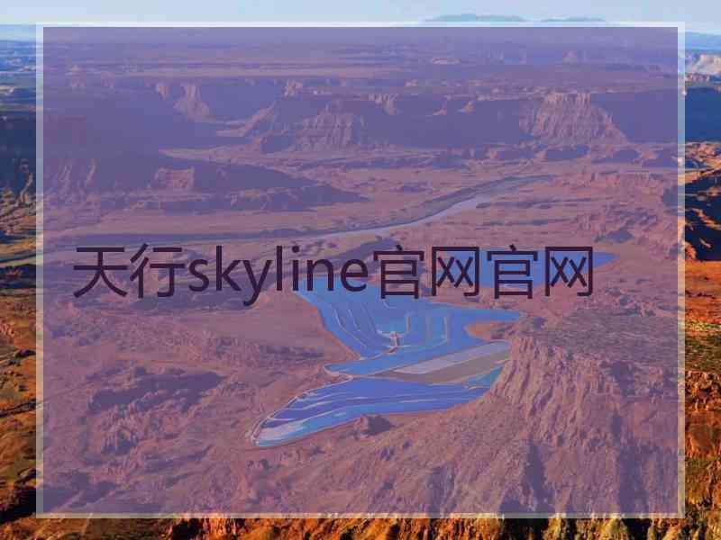 天行skyline官网官网