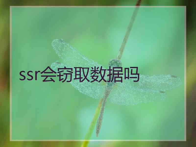 ssr会窃取数据吗