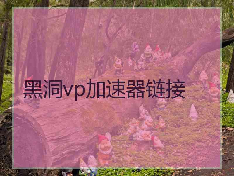 黑洞vp加速器链接