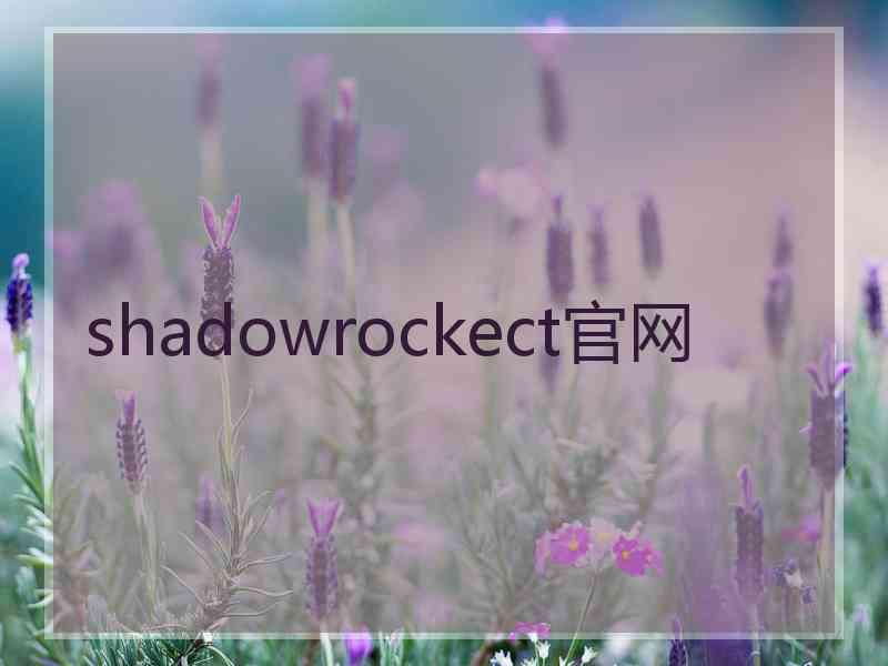 shadowrockect官网