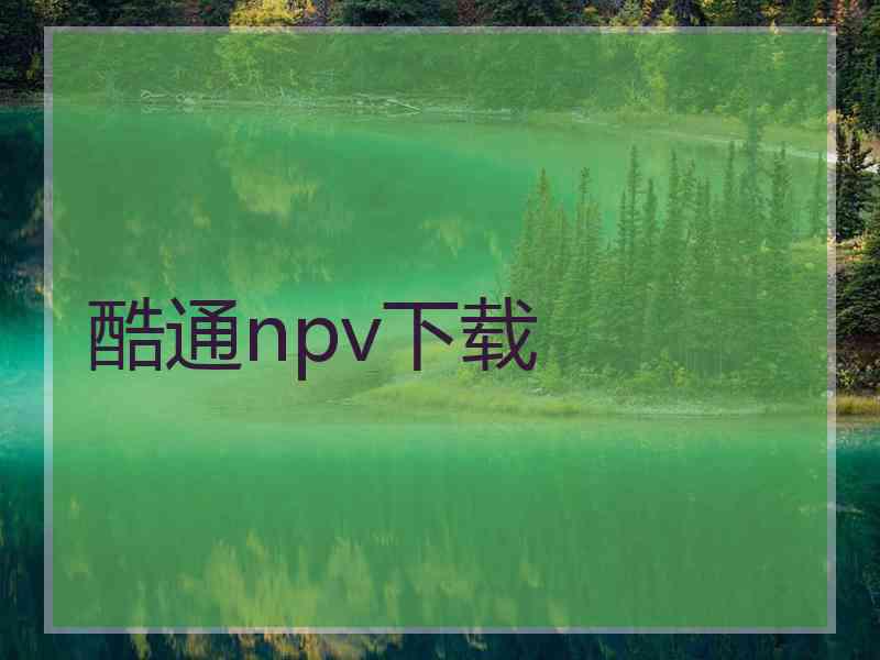 酷通npv下载