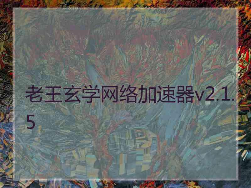 老王玄学网络加速器v2.1.5