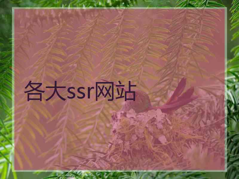 各大ssr网站