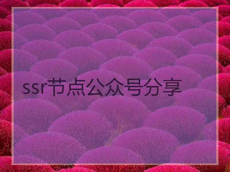 ssr节点公众号分享