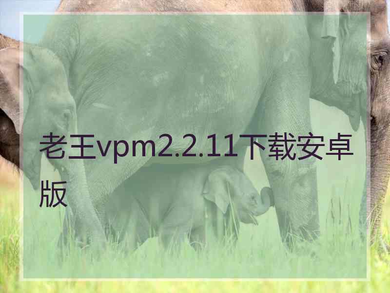 老王vpm2.2.11下载安卓版