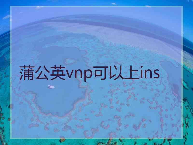 蒲公英vnp可以上ins