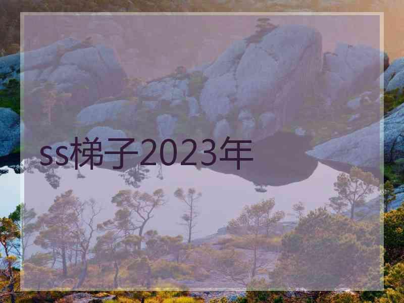 ss梯子2023年