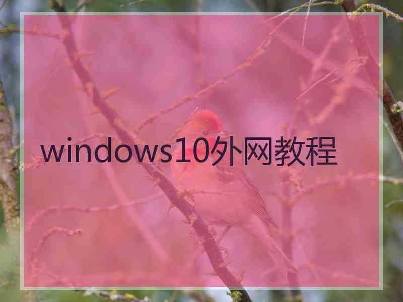windows10外网教程