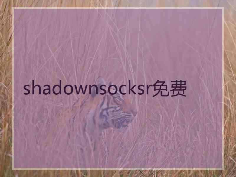 shadownsocksr免费