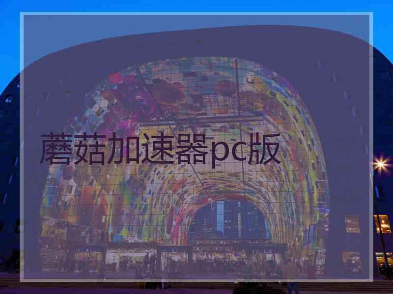 蘑菇加速器pc版