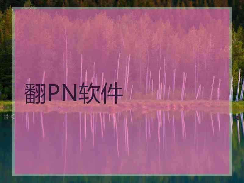 翻PN软件