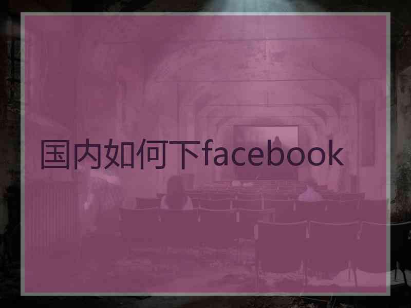 国内如何下facebook