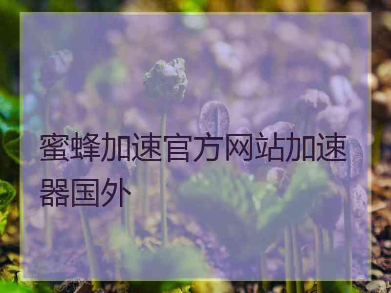 蜜蜂加速官方网站加速器国外