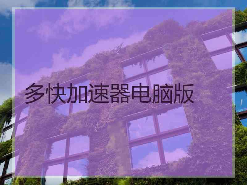 多快加速器电脑版