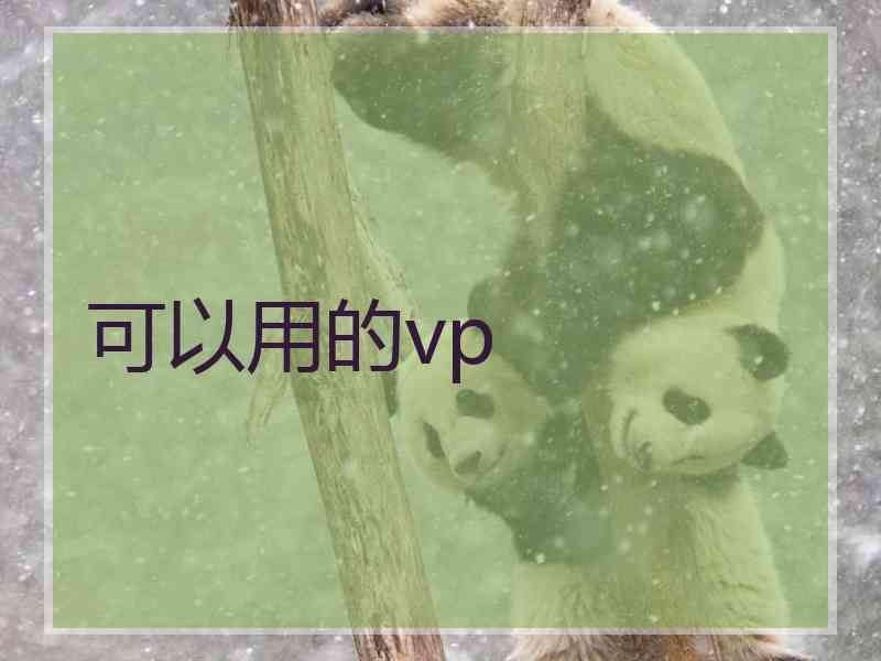 可以用的vp