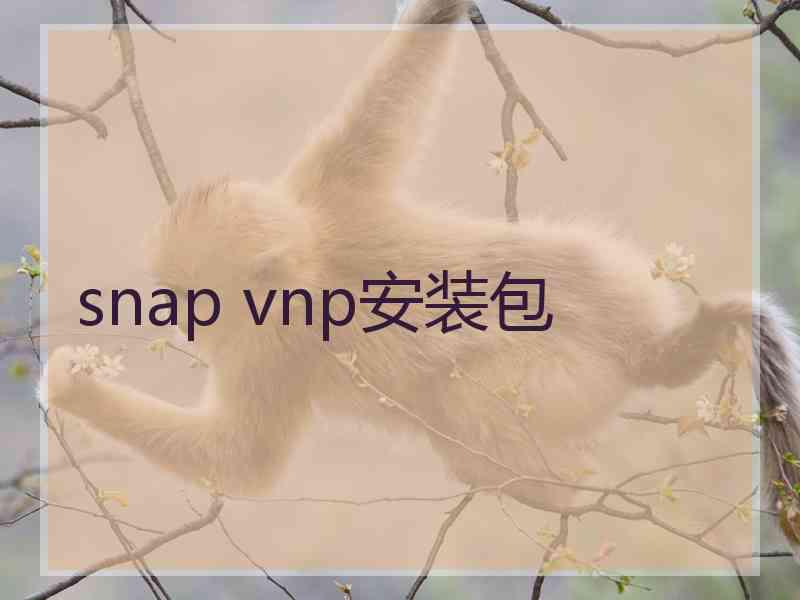 snap vnp安装包