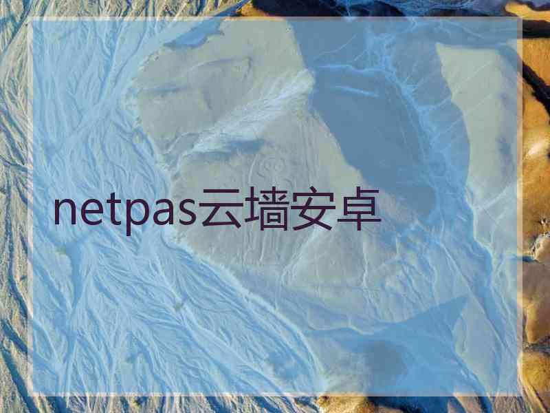 netpas云墙安卓