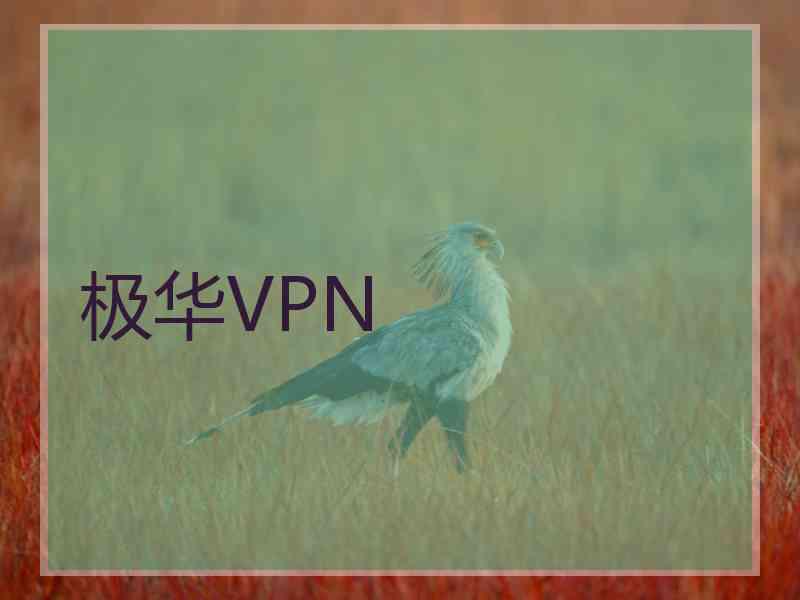 极华VPN