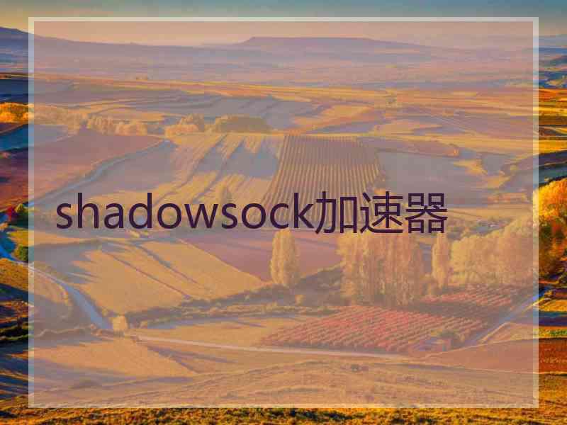 shadowsock加速器