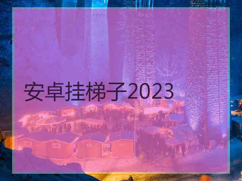 安卓挂梯子2023