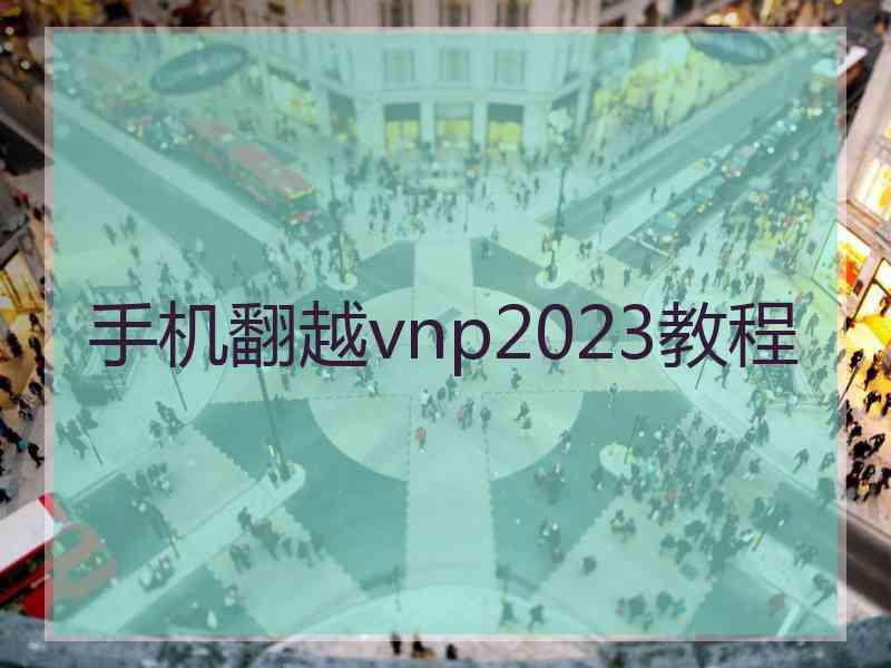 手机翻越vnp2023教程