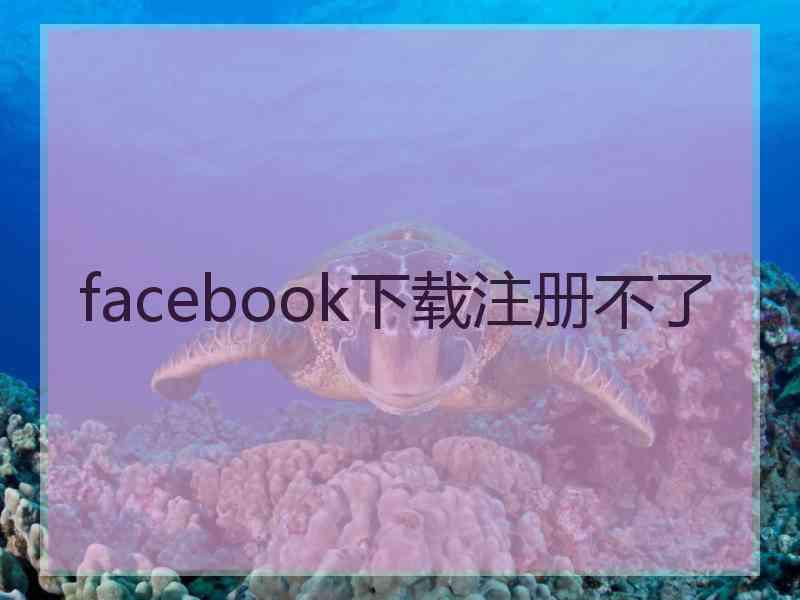 facebook下载注册不了