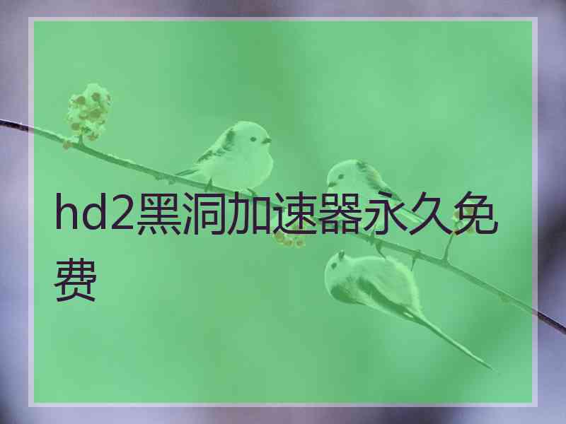 hd2黑洞加速器永久免费