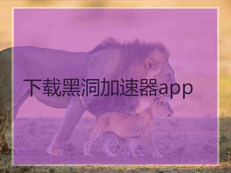 下载黑洞加速器app