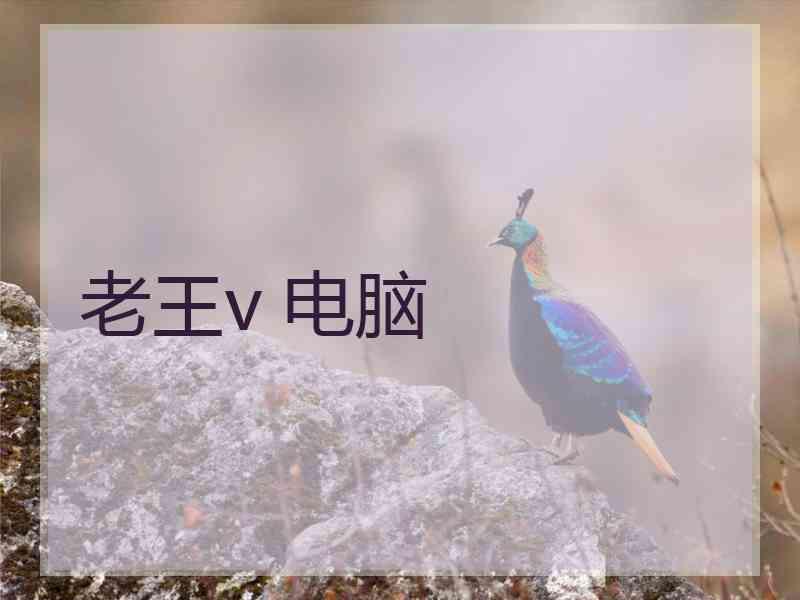 老王v 电脑